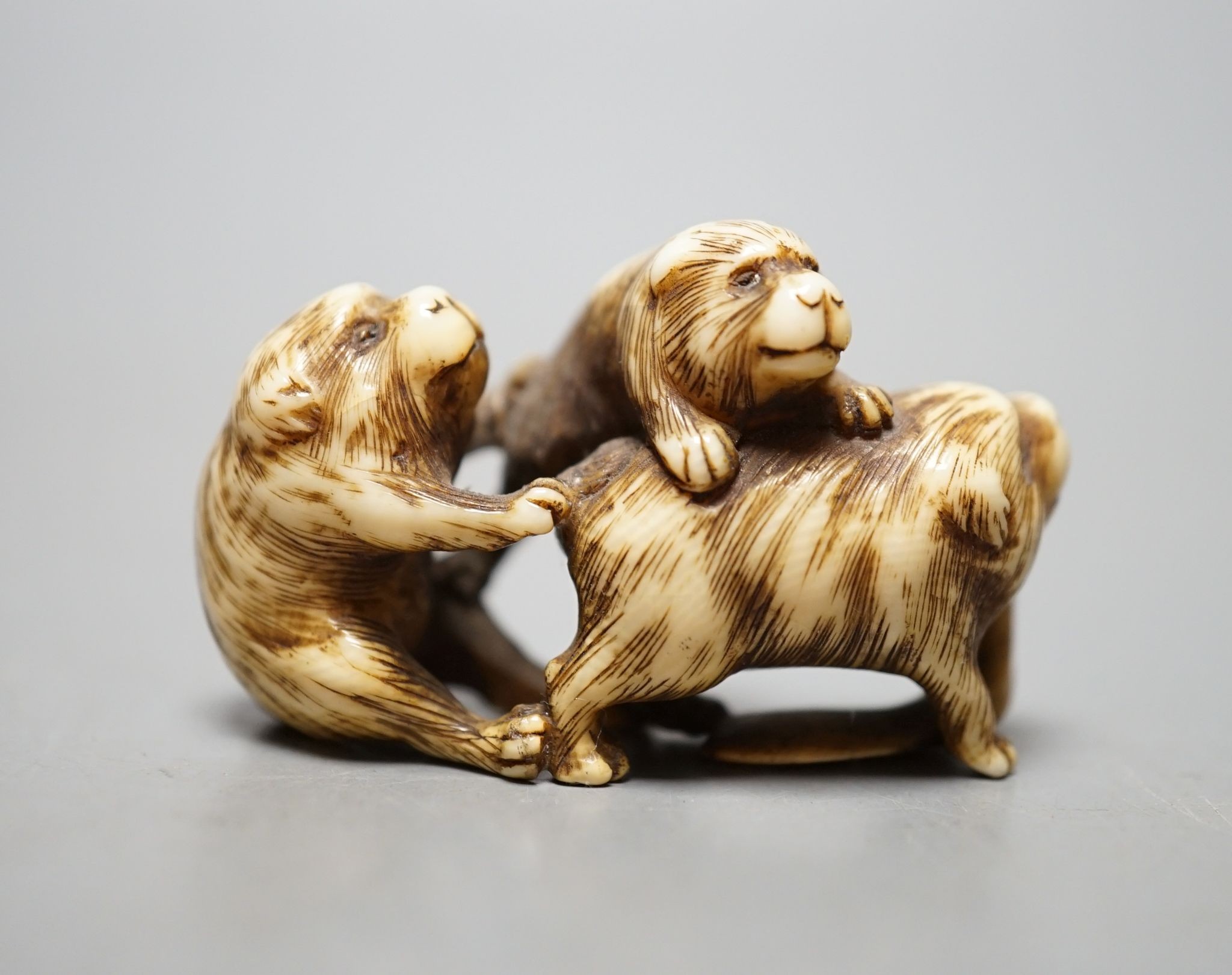 A Japanese ivory netsuke monkey group, 19th century, signed, 5cm wide.